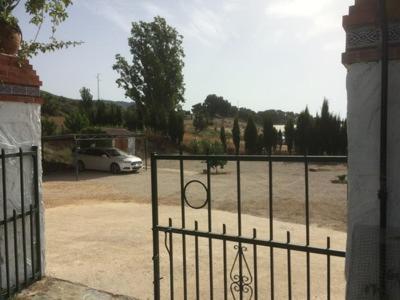 Casa De Campo "La Campanera" Constantina Dış mekan fotoğraf
